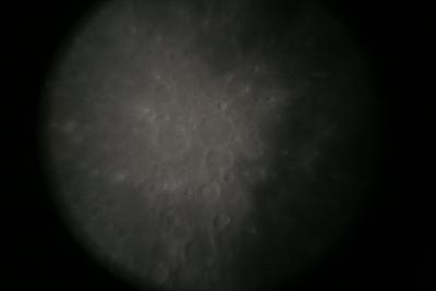 img_7320.jpg